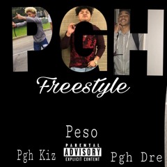 PGH Freestlye (YSL Remix)