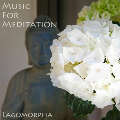 Music For Meditation
