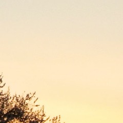 月半小夜曲//half-moon serenade