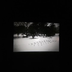 I Had To Stop, Put My Book Down