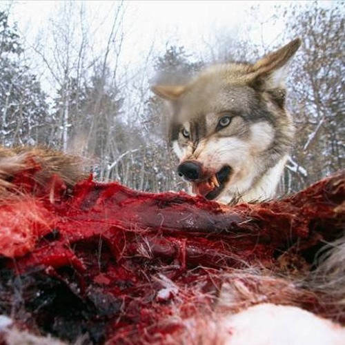 T-Mic: Eat(prod.Donny)