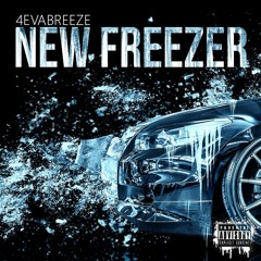 NEW FREEZER