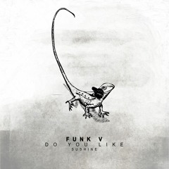 Funk V.- Do You Like (Original Mix)