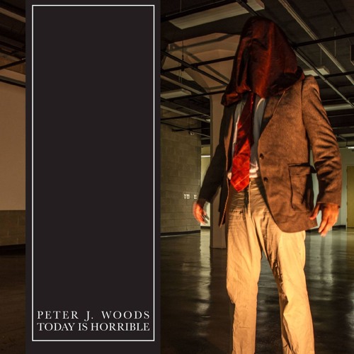 Peter J. Woods "On Passivity (Revised)"