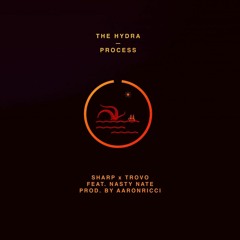 Process feat. Nasty Nate