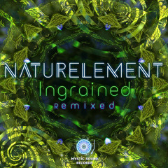 Naturelement- WhenThe Soul... (key-G & Hypnotizer Rmx)