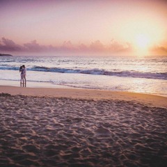 Chill Trap Experiment 2018