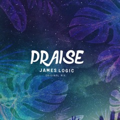 James Logic - Praise (Original Mix)