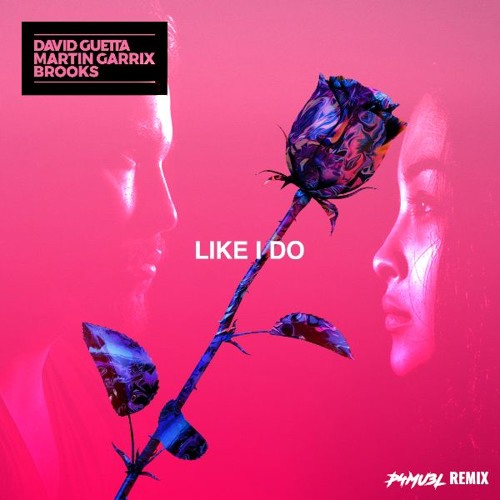 David Guetta X Martin Garrix & Brooks - Like I Do (Sam Chains Remix)