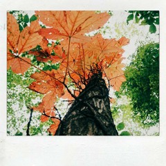 Acey - Autumn's Coming (Prod. Acey)