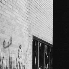 More and more and more circles