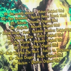 11. PsyTrus - Asylum