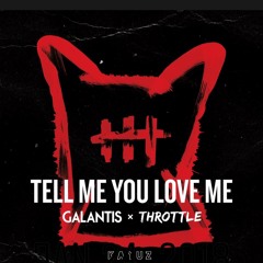 Galantis ft Throttle -Tell Me You Love Me (Kayuz Remix)