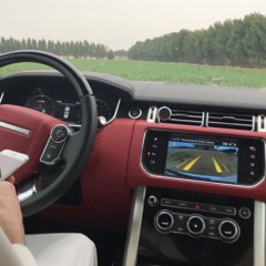 سلطان آل شريد -اهتمامه