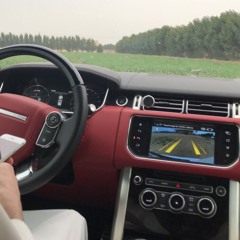 سلطان ال شريد