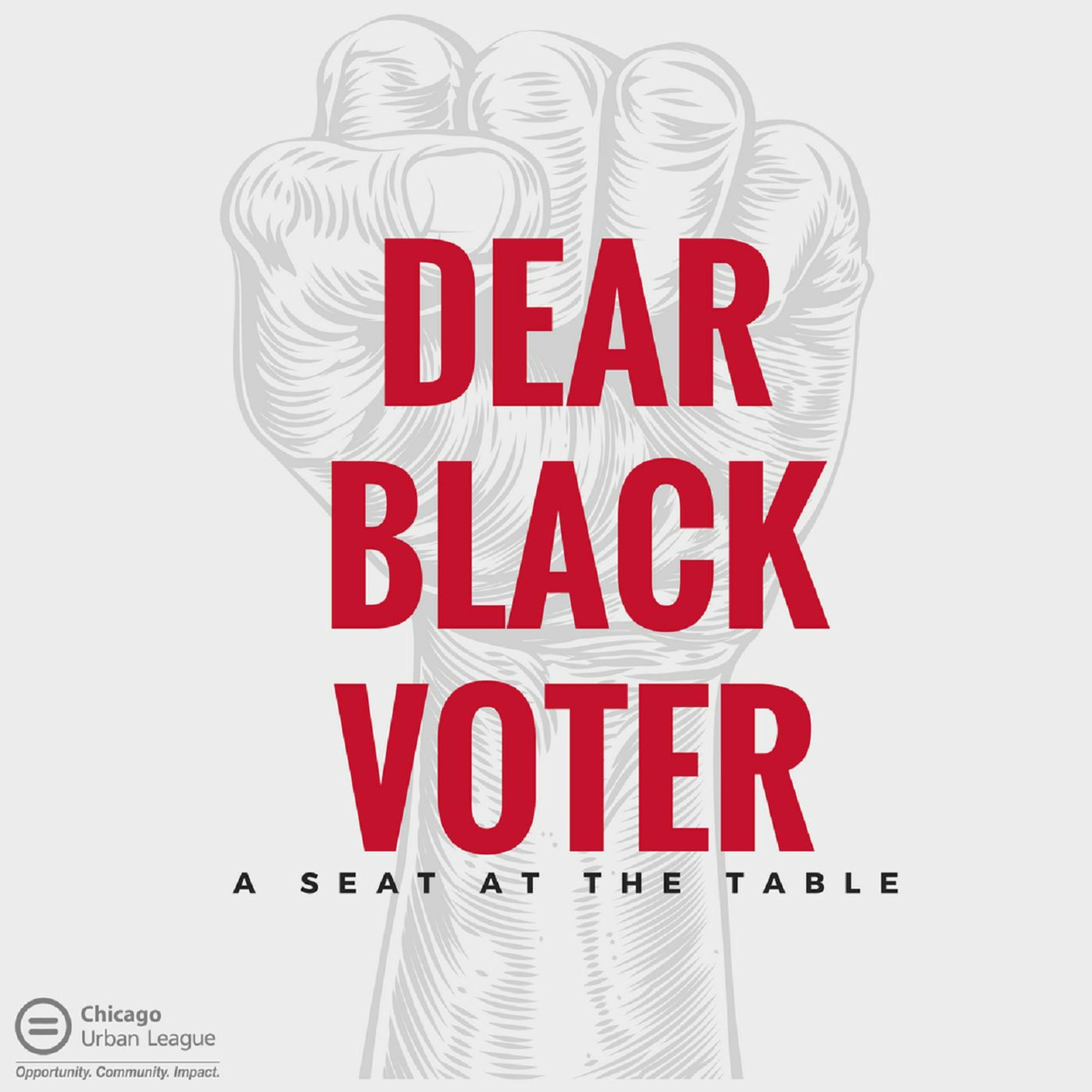 Dear Black Voter