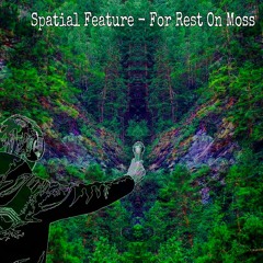 Spatial Feature - For Rest On Moss