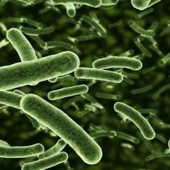 Towards a more nuanced view of the human microbiome: pathogens and evolution