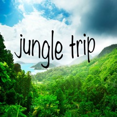 Mova - Jungle Trip
