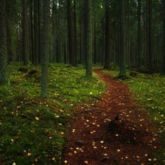 Nagoyaku [Early Version]