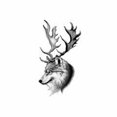 Qilin - Sun Strokes The Wall