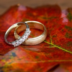 Koto Din Dekhini | Arfin Rumey 2016