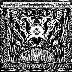 I Know A Black Bird In A Suicidal Village