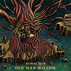 Old Man Willow