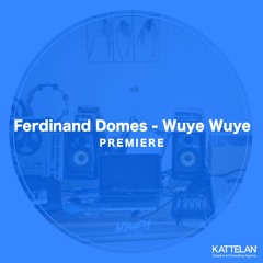 PREMIERE: Ferdinand Domes - Wuye Wuye