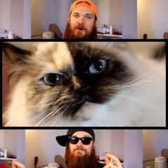 Everytime - A Failed Kitty Romance 😿 Acapella by Smooth McGroove (Boy Pablo cover)
