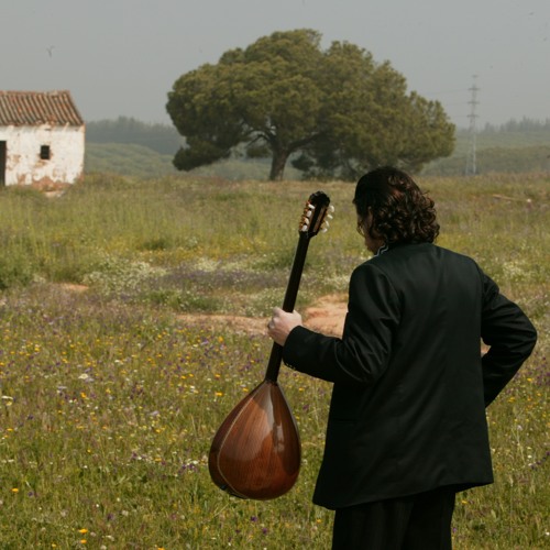 Le goût du sel