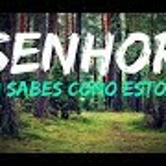 SENHOR TU SABES COMO ESTOU -  HINOS AVULSOS CCB 2018