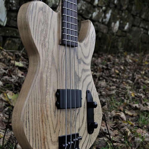 Stream Manton Customs Echo MK II bass guitar sound clip by Manton Customs Listen online for