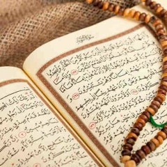 الشيخ احمد السلكاوى  - رضا ابو عيطه