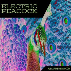 Electric Peacock
