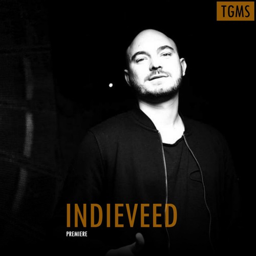 TGMS Future Stars #12: Indieveed