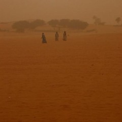 sandstorms/