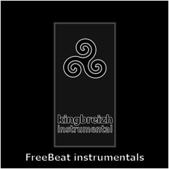 Instrumental - MegaFunk - KingBreizh ( DL )