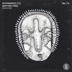 Resonances (IT) - Elevation (Original Mix) 160Kbps