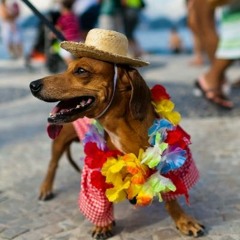 Oganes - Summer Carnival (Original Mix) [preview]