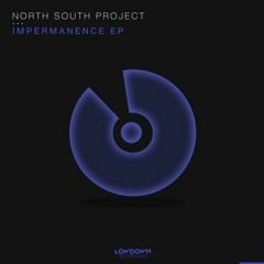INTO THE LIGHT OPERATOR MIX (NORTH SOUTH PROJECT , TCALABREZ)