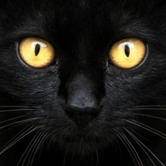 DéjàVodou Pineal G Spot Promo #1