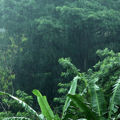 rain