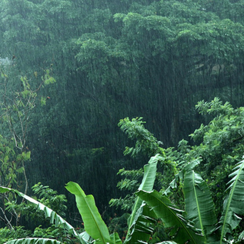 rain