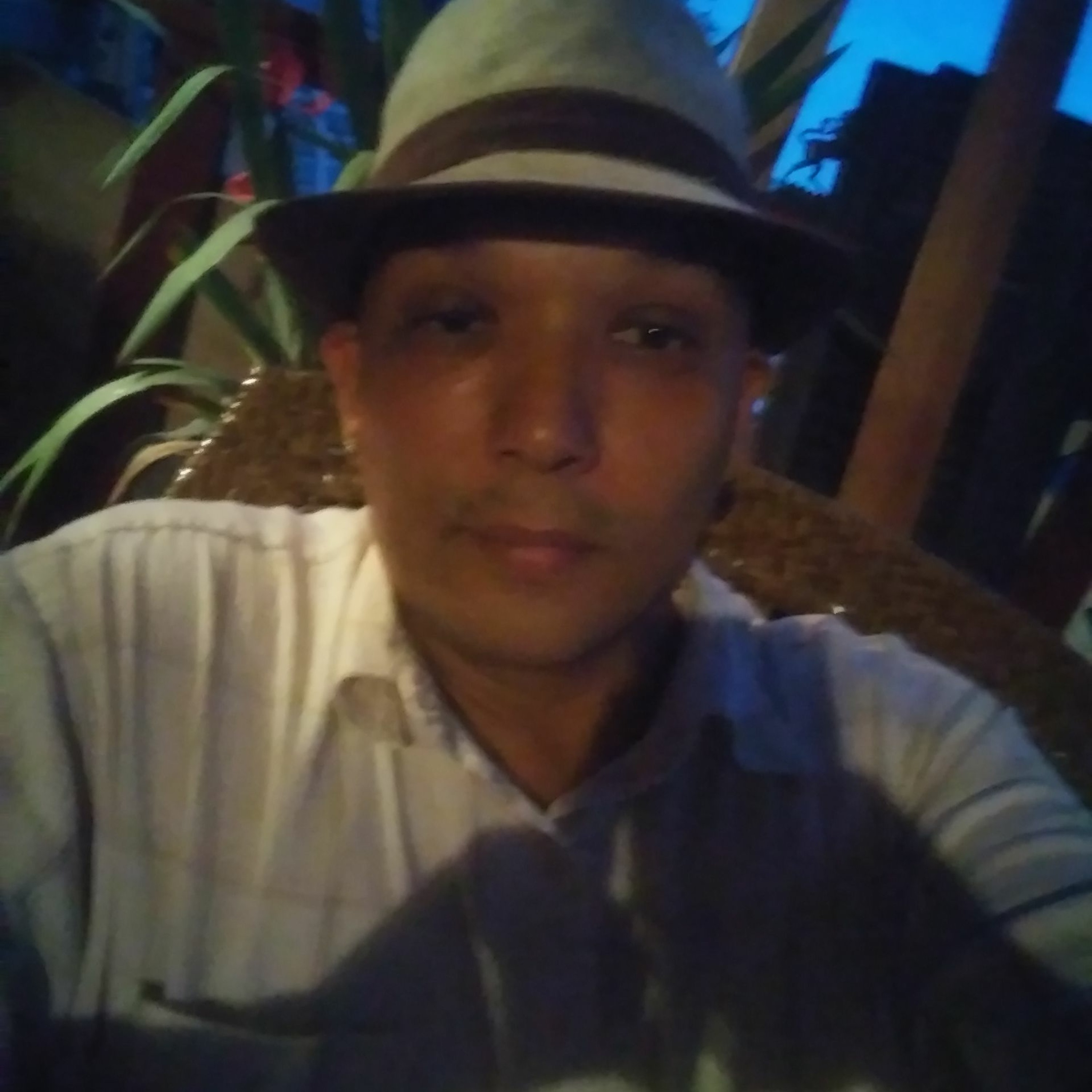 HYST UNO