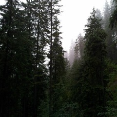 bedroom mix series m#5