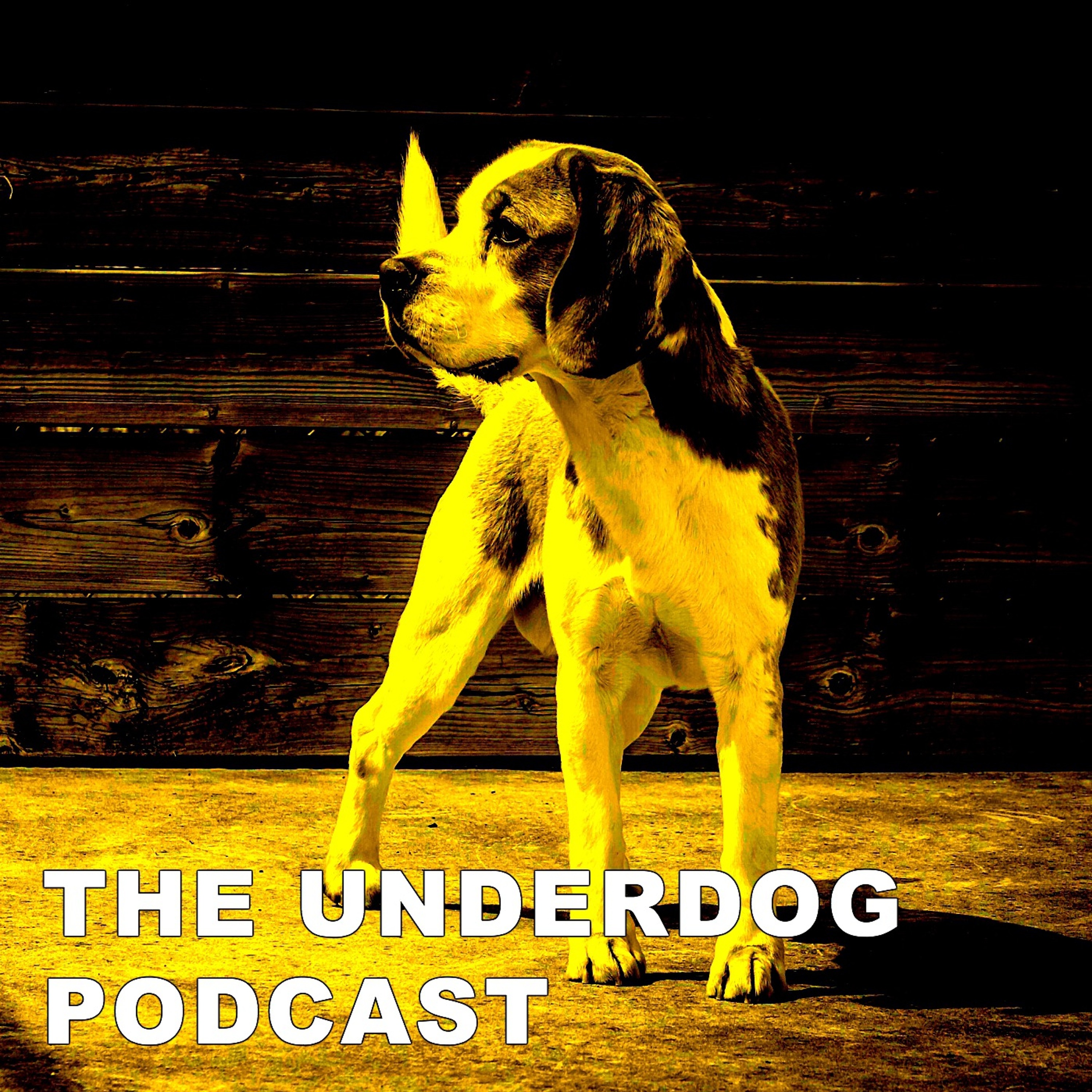 The Underdog Podcast
