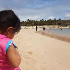 ºººMoyo MashineºººPMS FROM RAPA  NUI