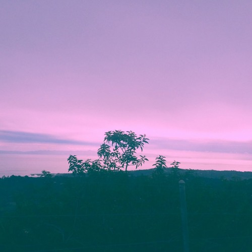 Tomppabeats - Rain And Flowers