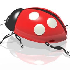 Ladybug